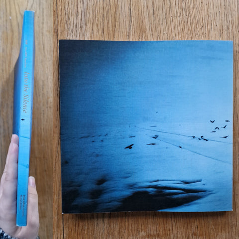 Into the Silence - Setanta Books