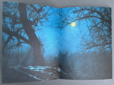 Invisible Sun - Setanta Books