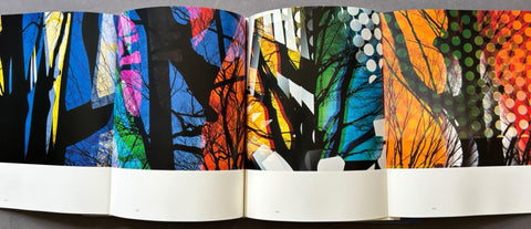 Iro To Katachi/Color and Form - Setanta Books