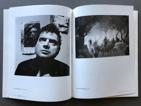 Irving Penn: Master Images