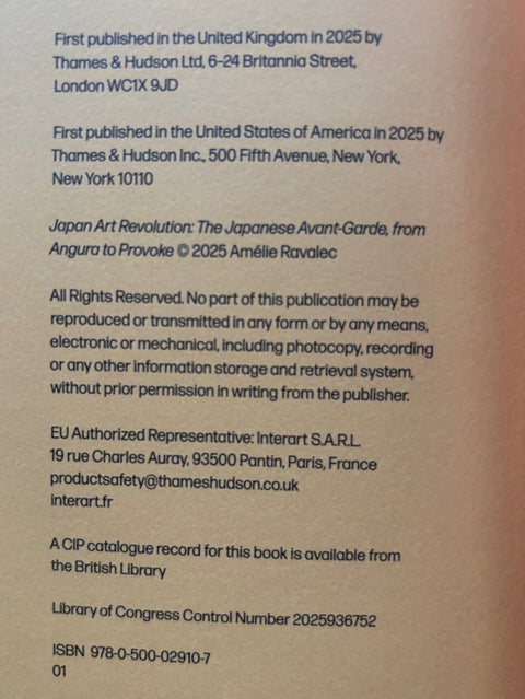 Japan Art Revolution 1960 - 1979: The Japanese Avant - Garde from Angura to Provoke - Setanta Books