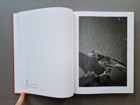 Jim Dine: The Photographs, So Far (Vol. 1 - 4)