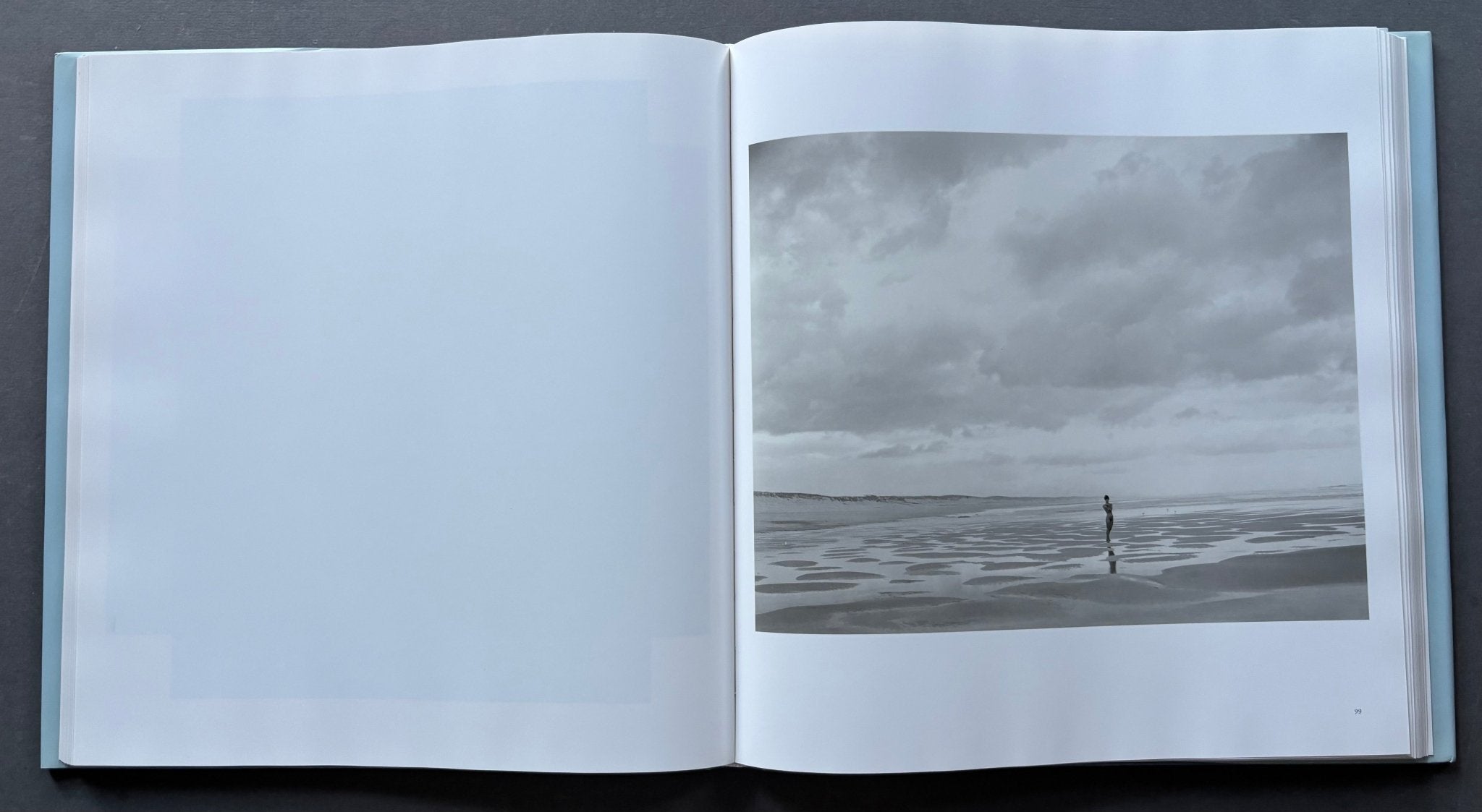 Buy Jock Sturges online – Setanta Books