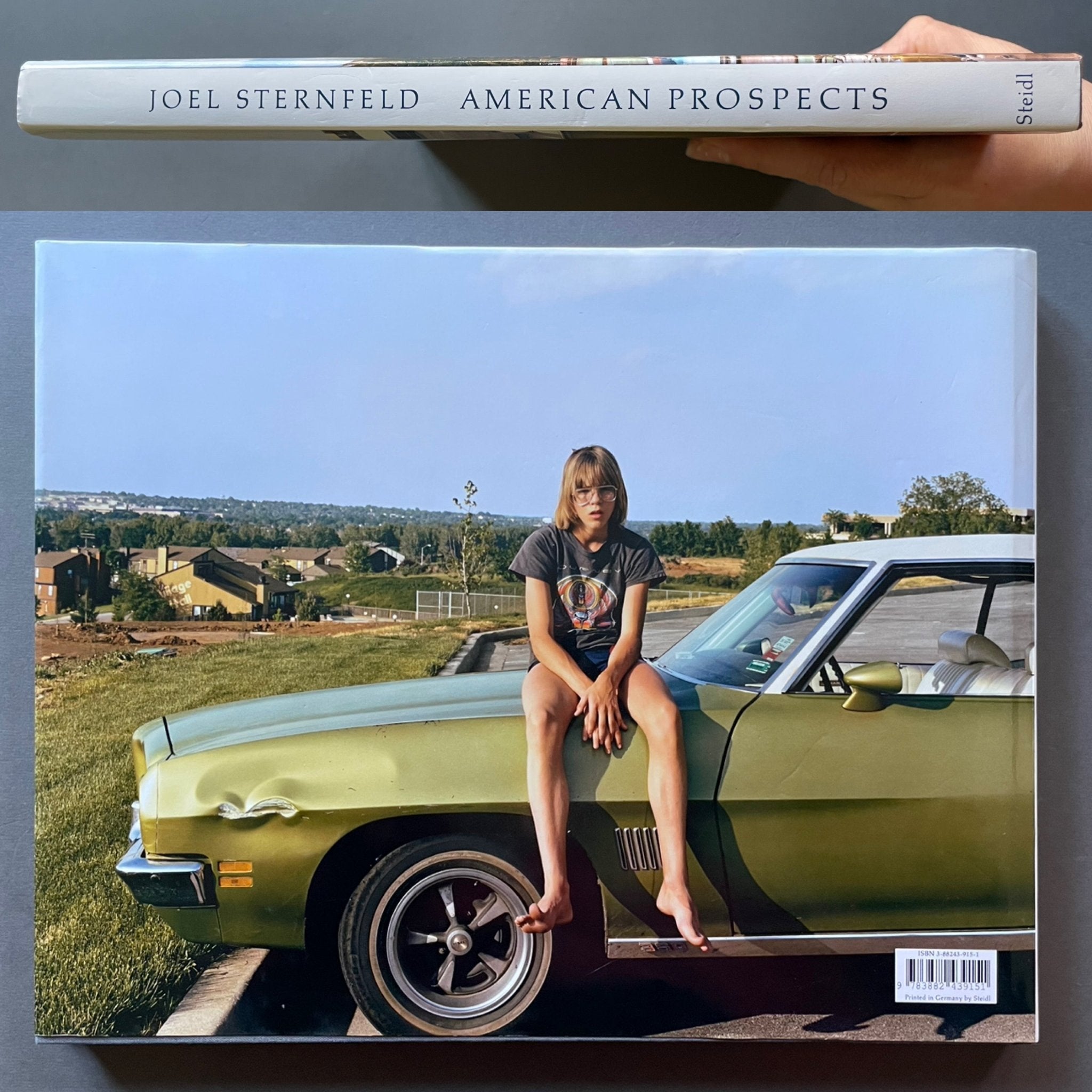Buy Joel Sternfeld: American Prospects online. – Setanta Books