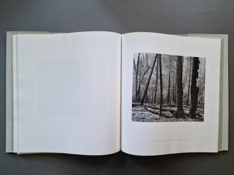 An open hardcover book, showing a black-and-white forest photograph printed on the right page and blank white pages on the left.