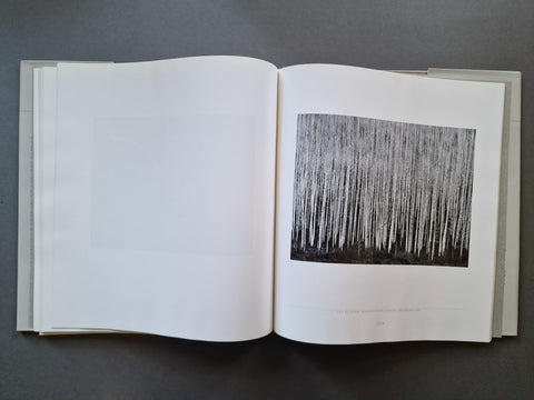 An open book showing a black-and-white forest photograph on the right page, photographed from above on a dark gray surface.