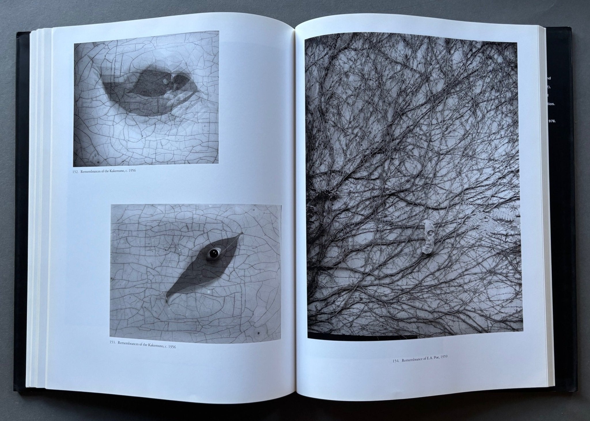 Buy Josef Sudek by Zdenek Kirschner – Setanta Books