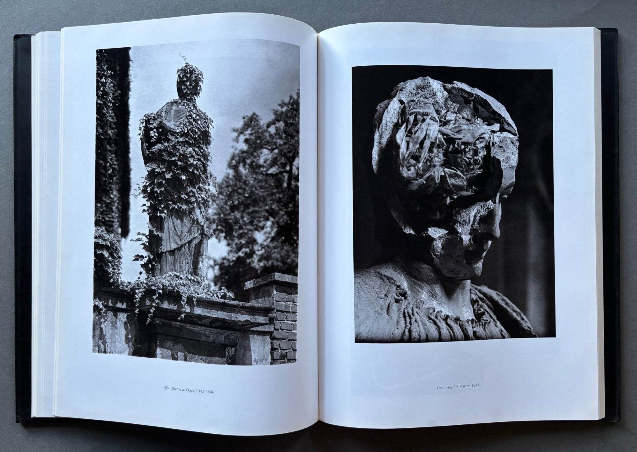 Buy Josef Sudek by Zdenek Kirschner – Setanta Books