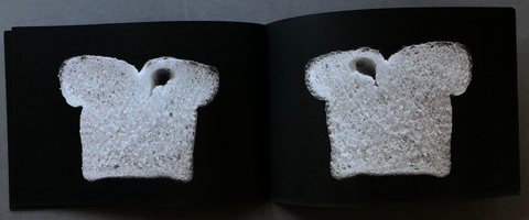 The Bread Book