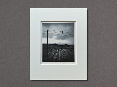 Kitakata, Japan (Two Birds on Wire), 2005 - Setanta Books