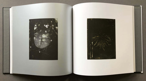 Kurayami - Setanta Books