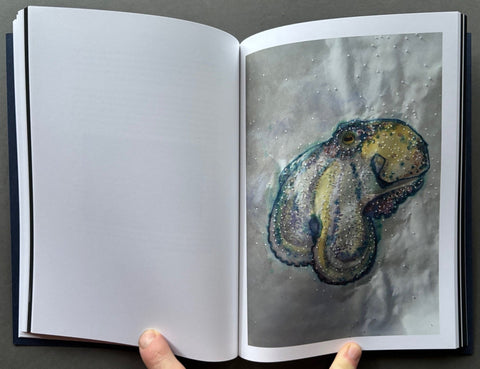 La Casa Isla - Setanta Books