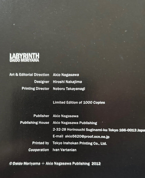 Labyrinth - Setanta Books
