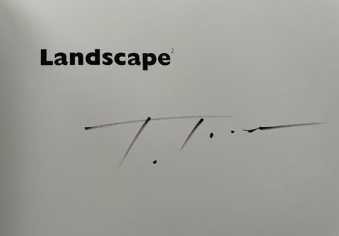 Landscape 2