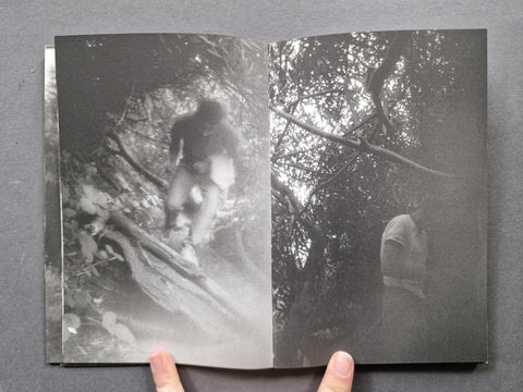 Landscape - Setanta Books
