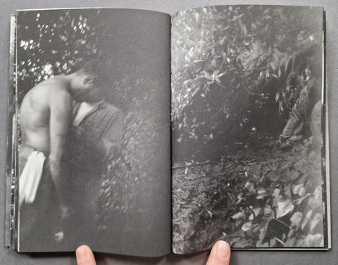 Landscape - Setanta Books