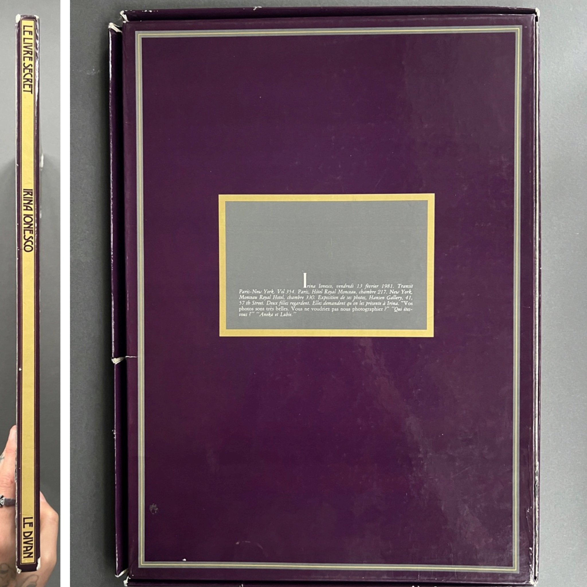 Buy Le Divan by Irina Ionesco – Setanta Books