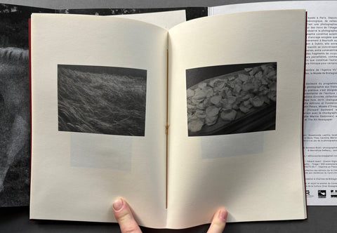 Les Dahlias - Setanta Books
