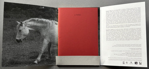 Les Dahlias - Setanta Books