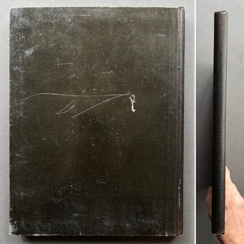 Les Sculptures de Picasso - Setanta Books
