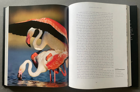 Life on Earth - Setanta Books