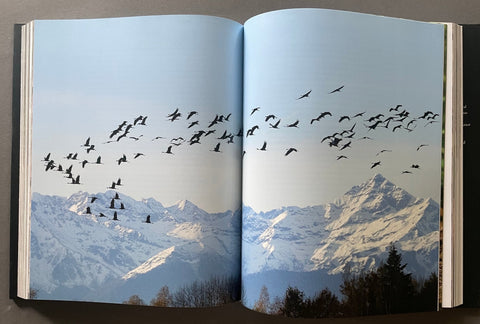 Life on Earth - Setanta Books