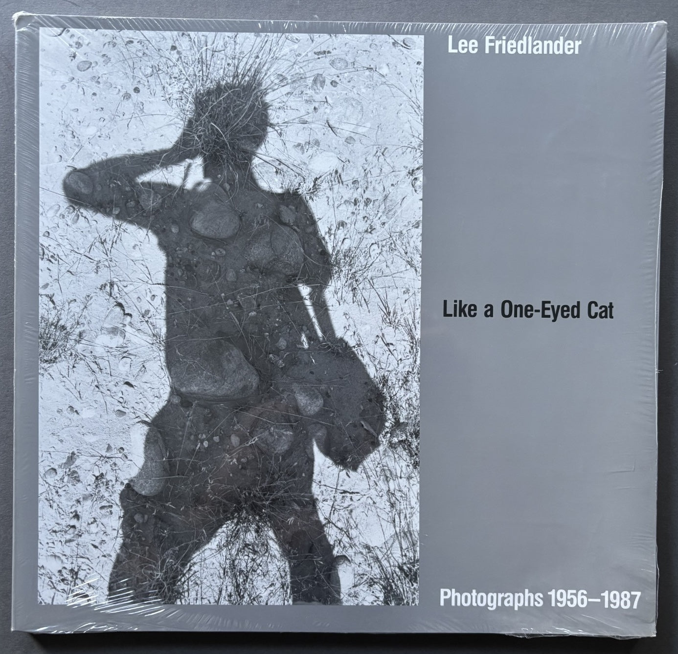 Buy Like A One-Eyed Cat by Lee Friedlander online – Setanta Books