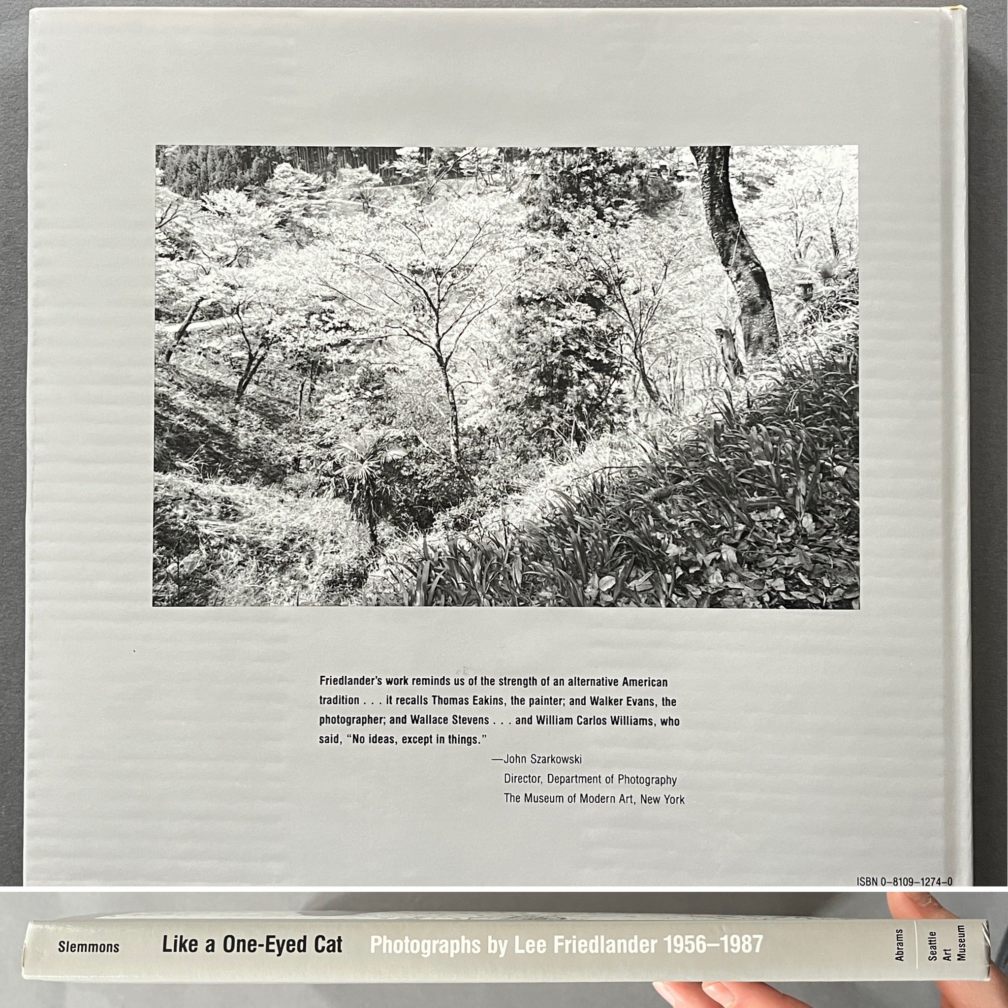 Buy Like A One-Eyed Cat by Lee Friedlander online – Setanta Books