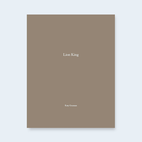 Lion King (One Picture Book) - Setanta Books