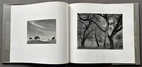 Listen To The Trees - Setanta Books