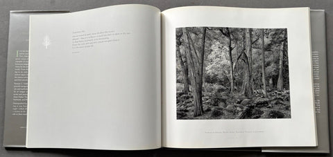 Listen To The Trees - Setanta Books