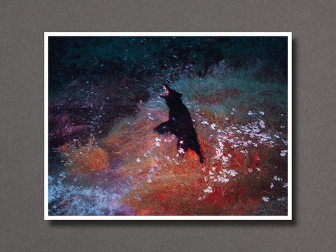 Loch Oighinn (Night) - Setanta Books