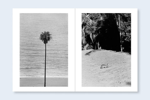 Los Angeles x Shinjuku - Setanta Books