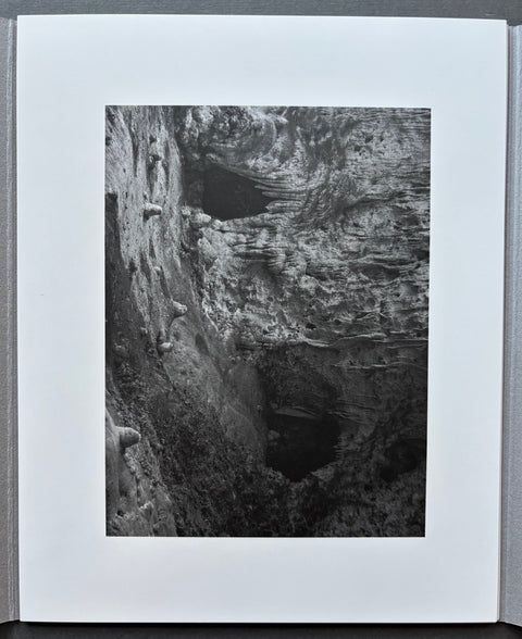 Low Tide - Setanta Books