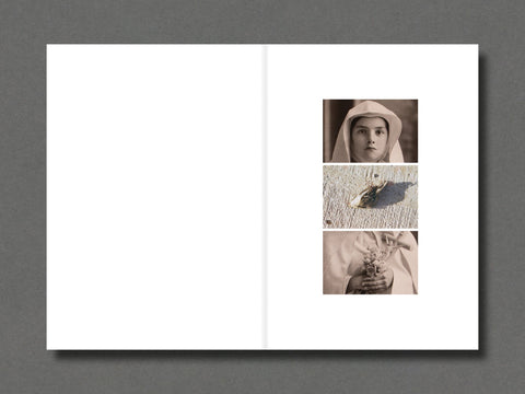 Madre - Setanta Books