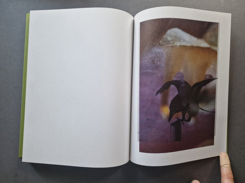 Magnificent Failure - Setanta Books