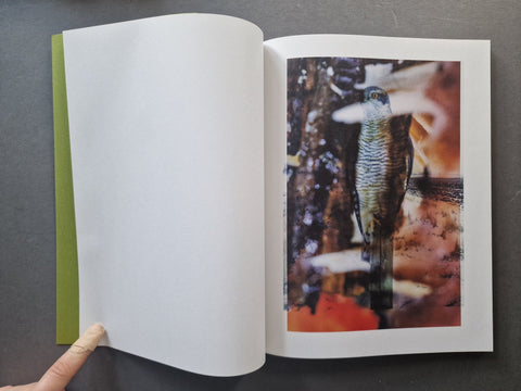 Magnificent Failure - Setanta Books