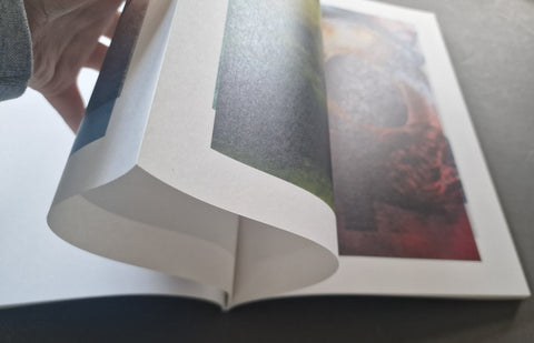 Magnificent Failure - Setanta Books