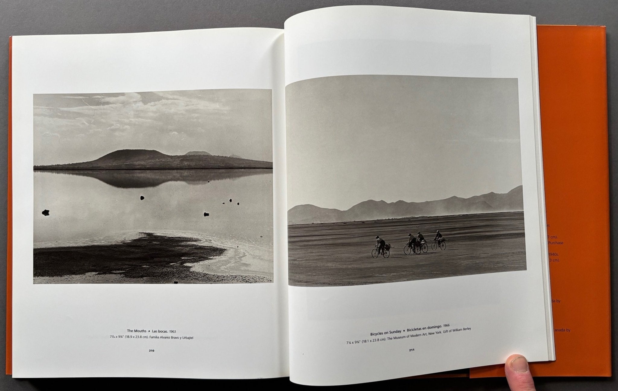 Buy Manuel Alvarez Bravo Online – Setanta Books