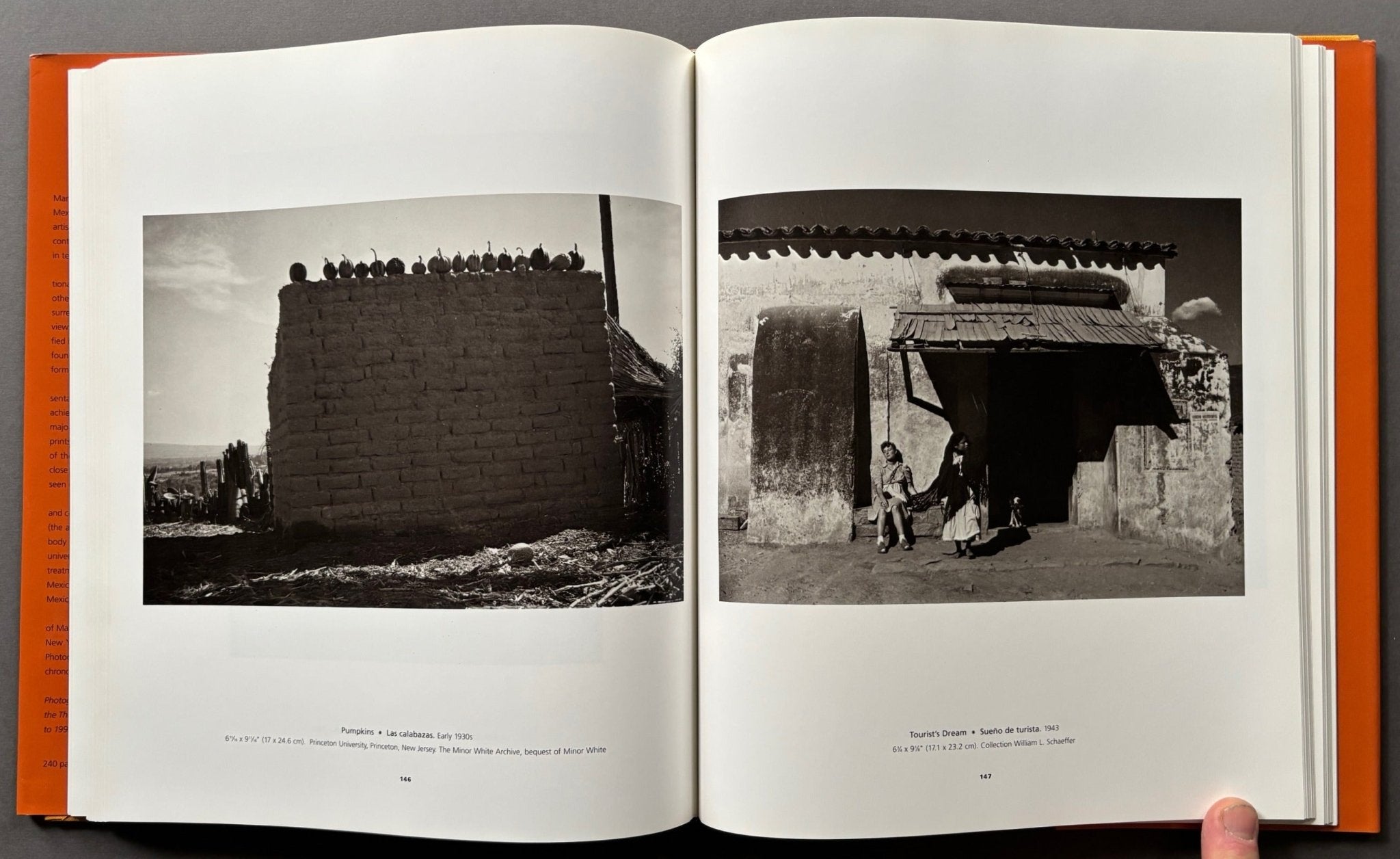 Buy Manuel Alvarez Bravo Online – Setanta Books