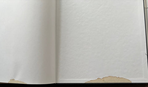 Marian Schmidt - Setanta Books