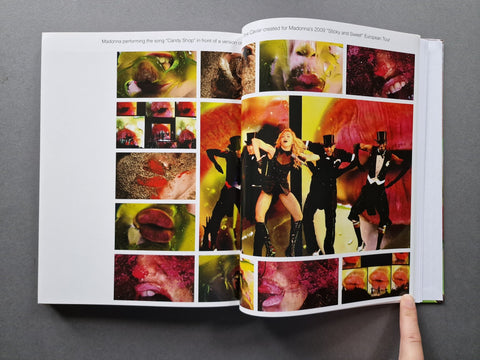 Marilyn Minter - Setanta Books