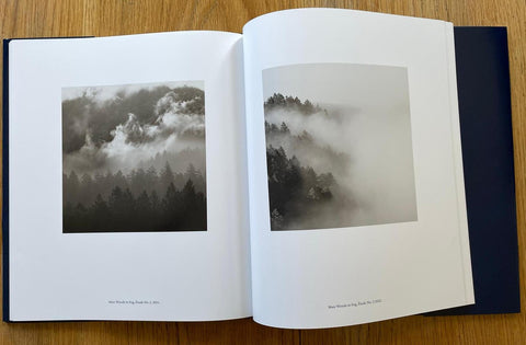 Marine Layer - Setanta Books