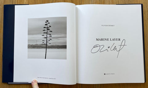 Marine Layer - Setanta Books
