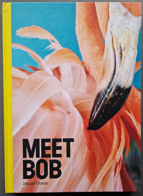 Meet Bob - Setanta Books