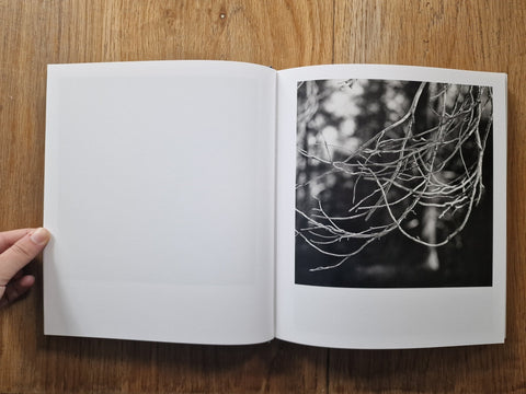 Megalith - Still - Setanta Books