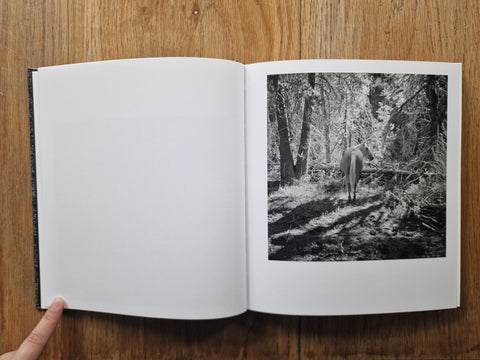 Megalith - Still - Setanta Books