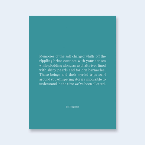Memories of the Salt Charged Whiffs (One Picture Book)