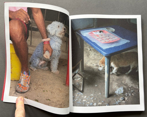 Mi Perro - Setanta Books
