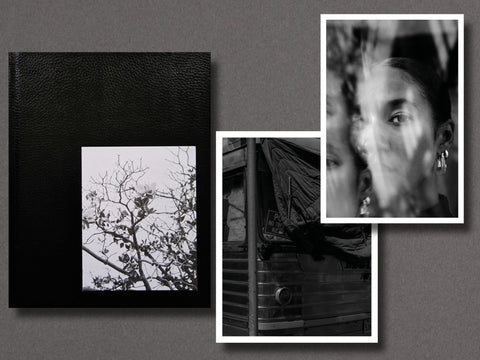 Migration Patterns - Setanta Books